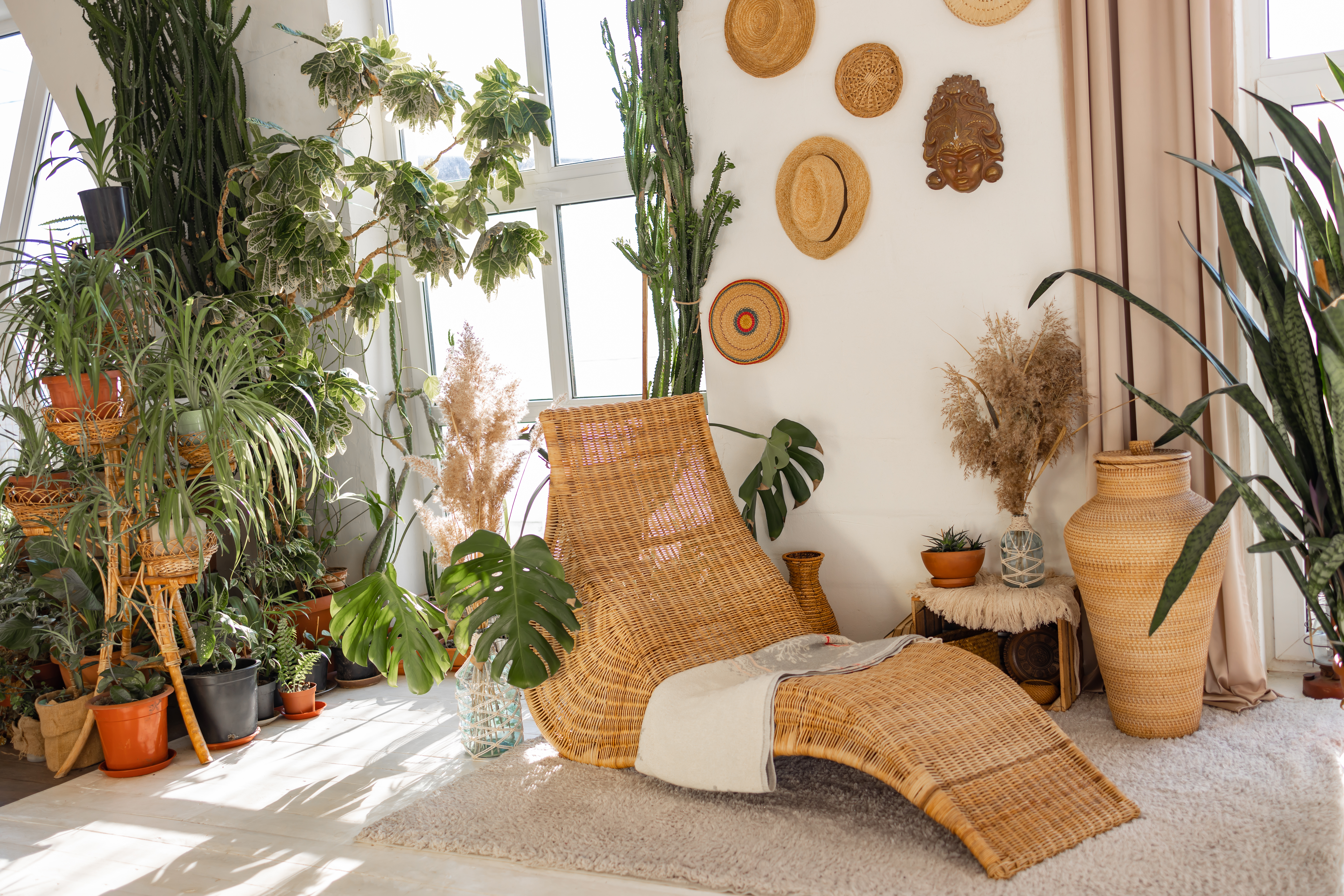 New furniture in cozy living room. Modern interior design in boho apartment. bamboo armchair and pla